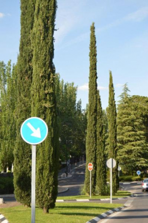 Confort hasta 7 plazas Menfis Moraja
